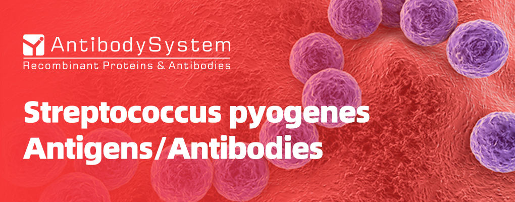 Advanced Research Solutions: Streptococcus pyogenes Antigens/Antibodies