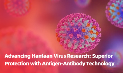 Advancing Hantaan Virus Research: Superior Protection with Antigen-Antibody Technology