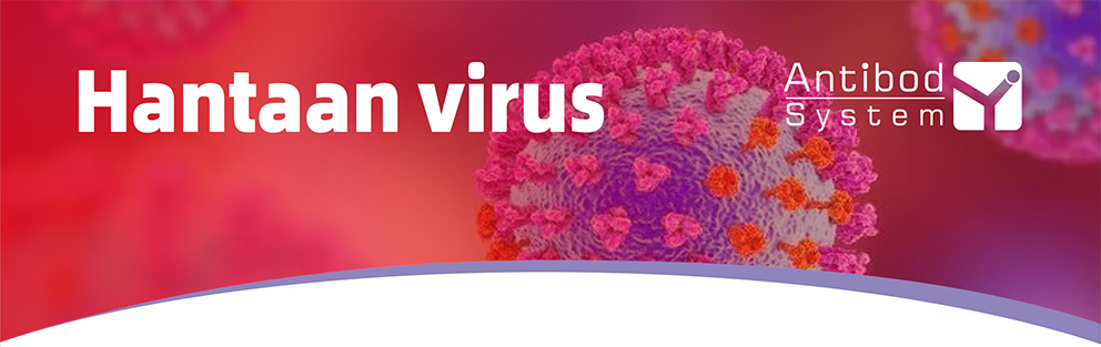 Hantaan virus