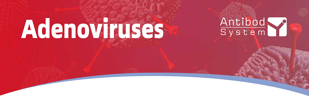 Adenoviruses: In-Depth Analysis and Insights