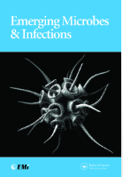 Novel transcription and replication-competent virus-like particles system modelling the Nipah virus life cycle