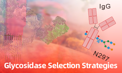 Glycosidase Selection Strategies