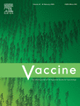 Development of a genetically modified full-length human respiratory syncytial virus preF protein vaccine