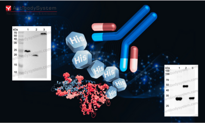  Newly Cited Article Sharing in April 2025