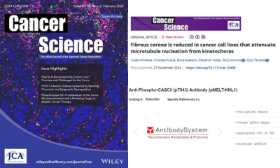 Phosphorylation Antibody Helps Reveal Mechanisms of Chromosome Instability Driven by Fiber Crown Defects in Cancer Cells