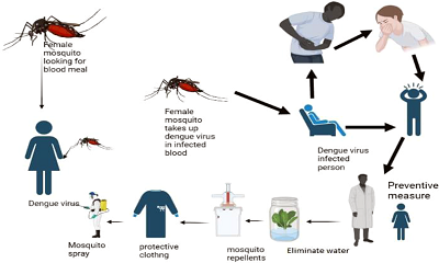 Beware of Dengue Fever Virus (DF) as Rainy Season Approaches