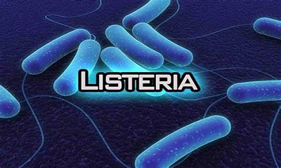 The heat-loving but cold-tolerant "refrigerator killer" - Listeria