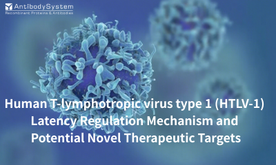 Nature Microbiology | Leukemia Virus (HTLV-1) Latency Regulation Mechanism and Potential Novel Therapeutic Targets