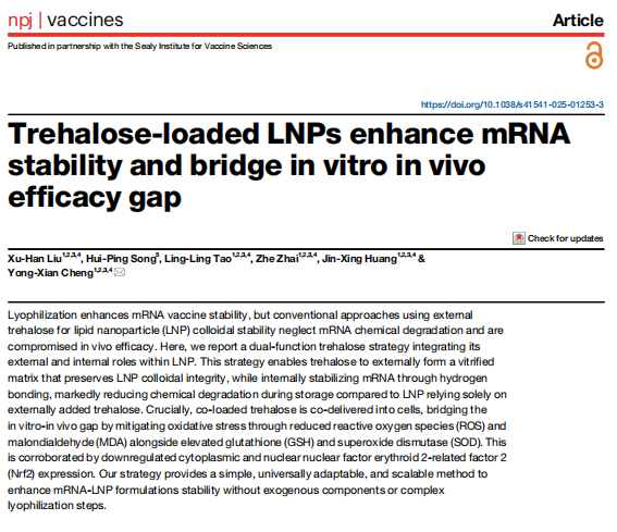 Trehalose-loaded LNPs enhance mRNA stability and bridge in vitro in vivo efficacy gap Abstract