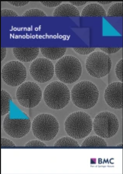 Self-assembled phenylboronic acid nanomedicine targets sialic acid to synergistically activate ferroptosis via RRM1 suppression and GPX4 Inhibition for precision colon cancer therapy