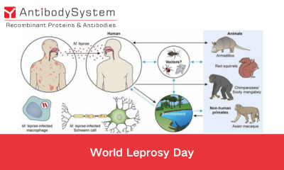 World Leprosy Day