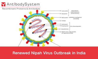 Renewed Nipah Virus Outbreak in India