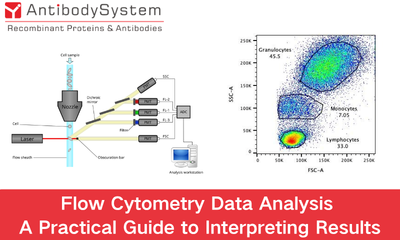 Flow Cytometry Data Analysis A Practical Guide to Interpreting Results