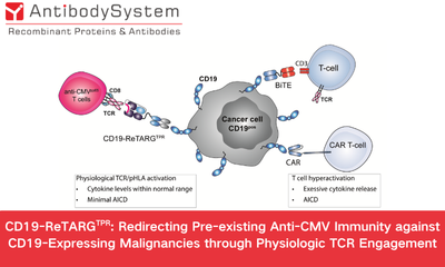 CD19-ReTARGTPR: Redirecting Pre-existing Anti-CMV Immunity against CD19-Expressing Malignancies through Physiologic TCR Engagement