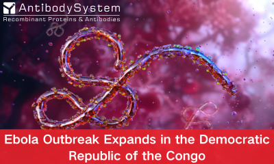 Ebola Outbreak Expands in the Democratic Republic of the Congo