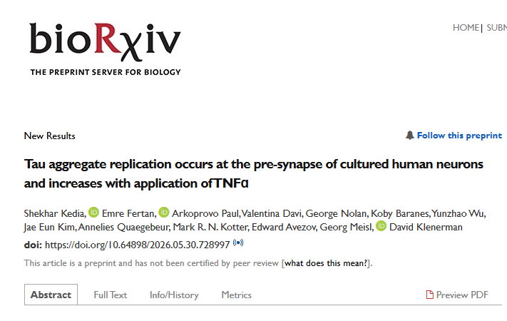 Tau aggregate replication occurs at the pre-synapse  of  cultured   human   neurons   and  increases  with application of TNFɑ