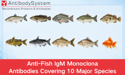 Anti-Fish IgM Monoclonal Antibodies Covering 10 Major Species | Validated for ELISA, FCM, WB & IF
