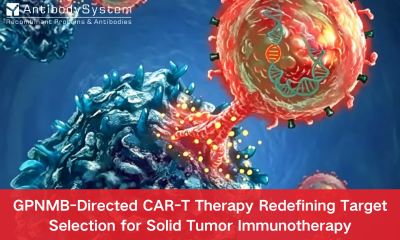 GPNMB-Directed CAR-T Therapy Redefining Target Selection for Solid Tumor Immunotherapy