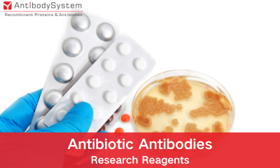 Antibiotic Antibodies Research Reagents