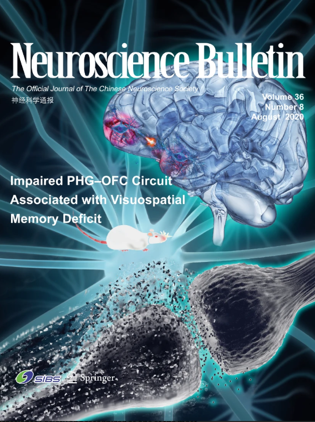 Literature Cover
