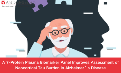 A 7-Protein Plasma Biomarker Panel Improves Assessment of Neocortical Tau Burden in Alzheimer's Disease