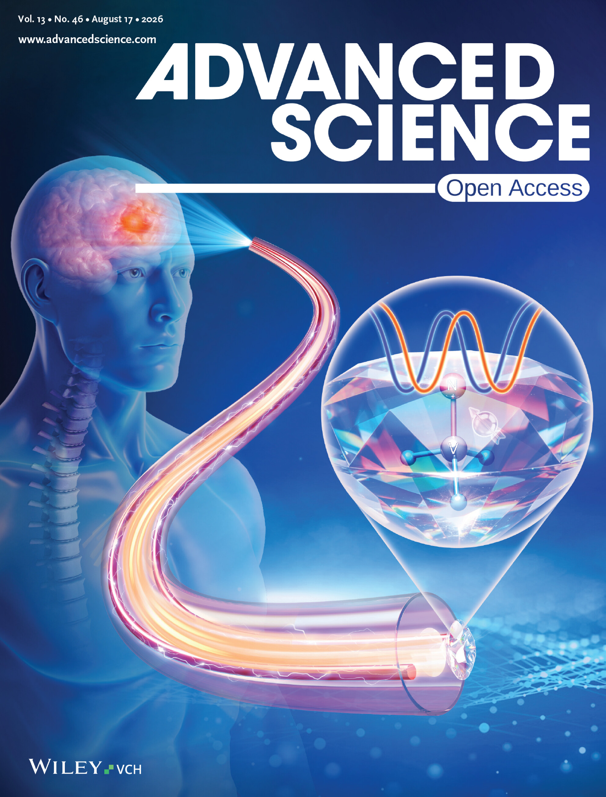 Literature Cover