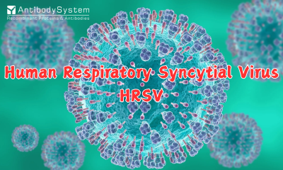Human Respiratory Syncytial Virus, HRSV