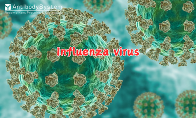 Influenza Virus (Flu)