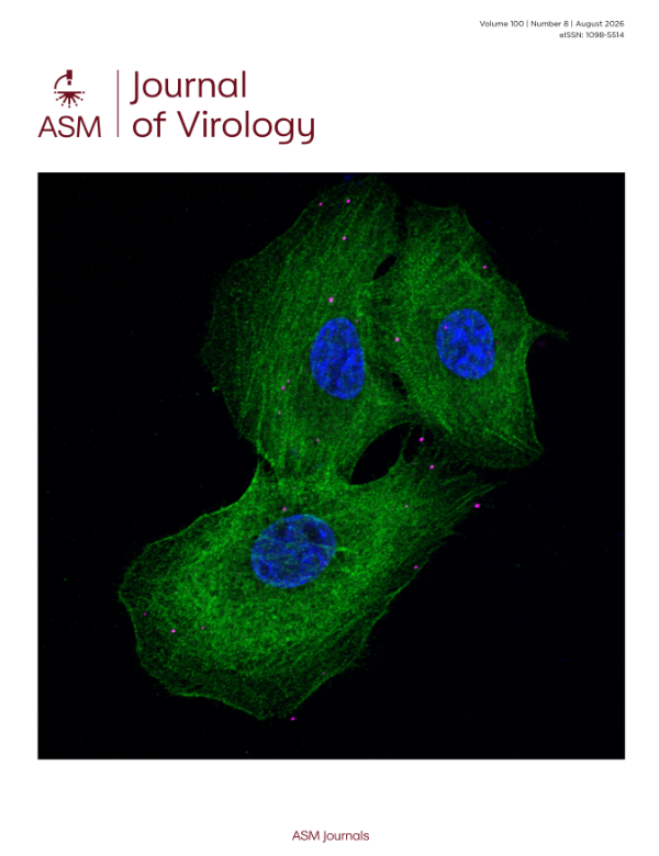 Nectin4 restricts pseudorabies virus infection by blocking gD-Nectin1 interaction