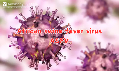 African Swine Fever Virus (ASFV)