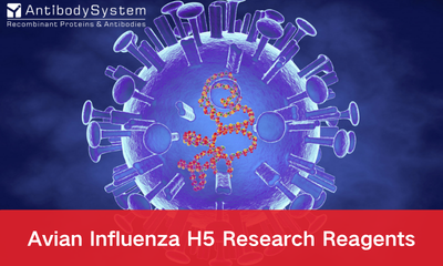 Avian Influenza H5&nbsp;Viruses Research Reagents