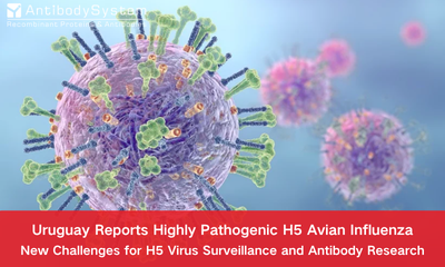 Uruguay Reports Highly Pathogenic H5 Avian Influenza: New Challenges for H5 Virus Surveillance and Antibody Research