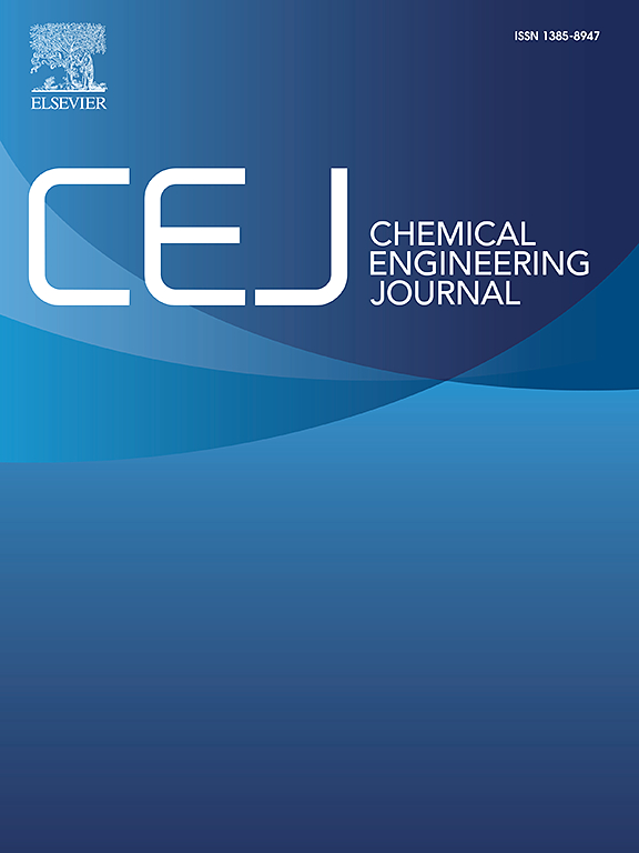 Immunomodulator triptolide synergizes with black phosphorus nanosheets-mediated calcium overload for mild heat-potentiated cancer immunotherapy