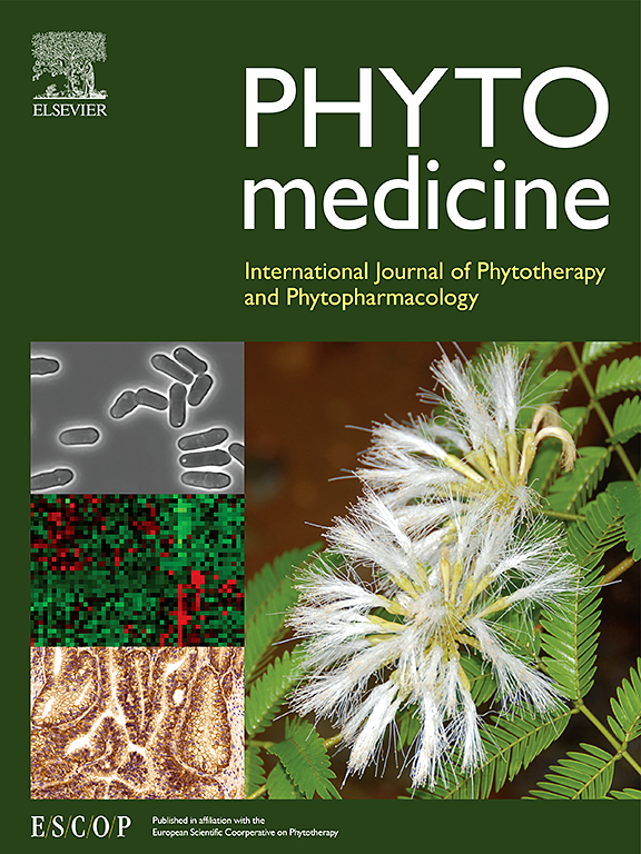 Camellia nitidissima Chi flower extract ameliorates alcoholic liver disease by reshaping bile acid homeostasis and intestinal barrier function