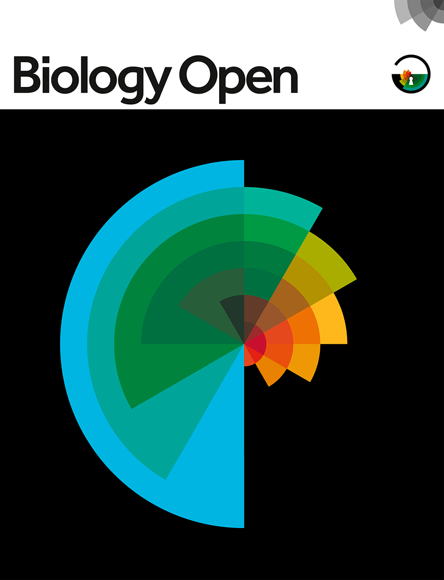 Transcriptional dynamics of the murine heart during perinatal development at single-cell resolution