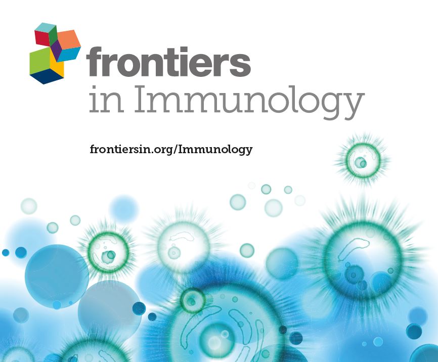 Ozoralizumab, a trivalent anti-TNF&alpha; NANOBODY&reg; compound, is resistant to rheumatoid factor-mediated modulation of FcRn-dependent recycling and immune complex uptake