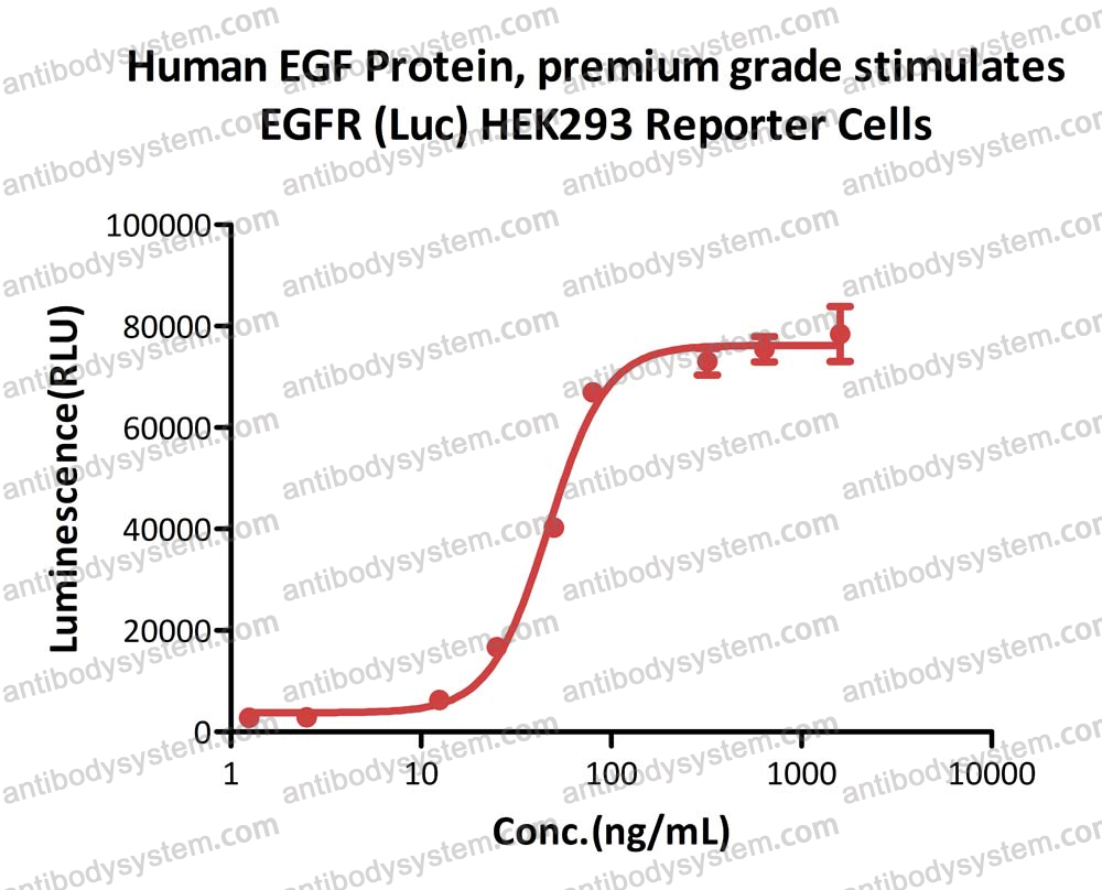 Recombinant Human EGF Protein, Tag free (Active)