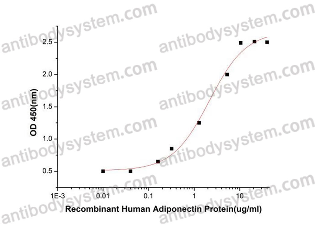 Recombinant Human Adiponectin/ACRP30/ADIPOQ Protein, C-His (Active)