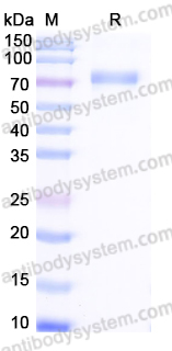 Research Grade Efmitermant alfa