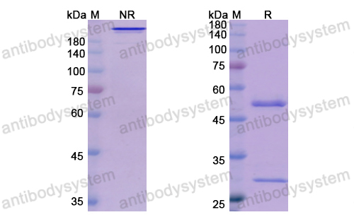 Research Grade MK-4721