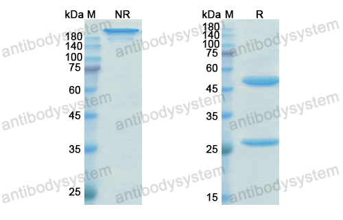 Research Grade Emicizumab