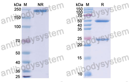 Research Grade LY3016859