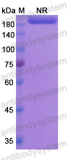 Research Grade Lutikizumab