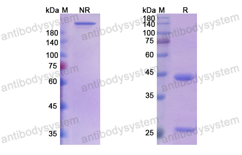 Research Grade STT-5058