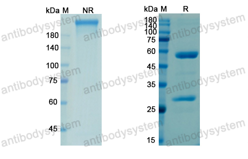 Research Grade Osocimab