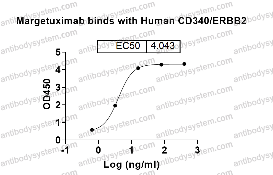 Bioactivity for Research Grade Margetuximab ?>