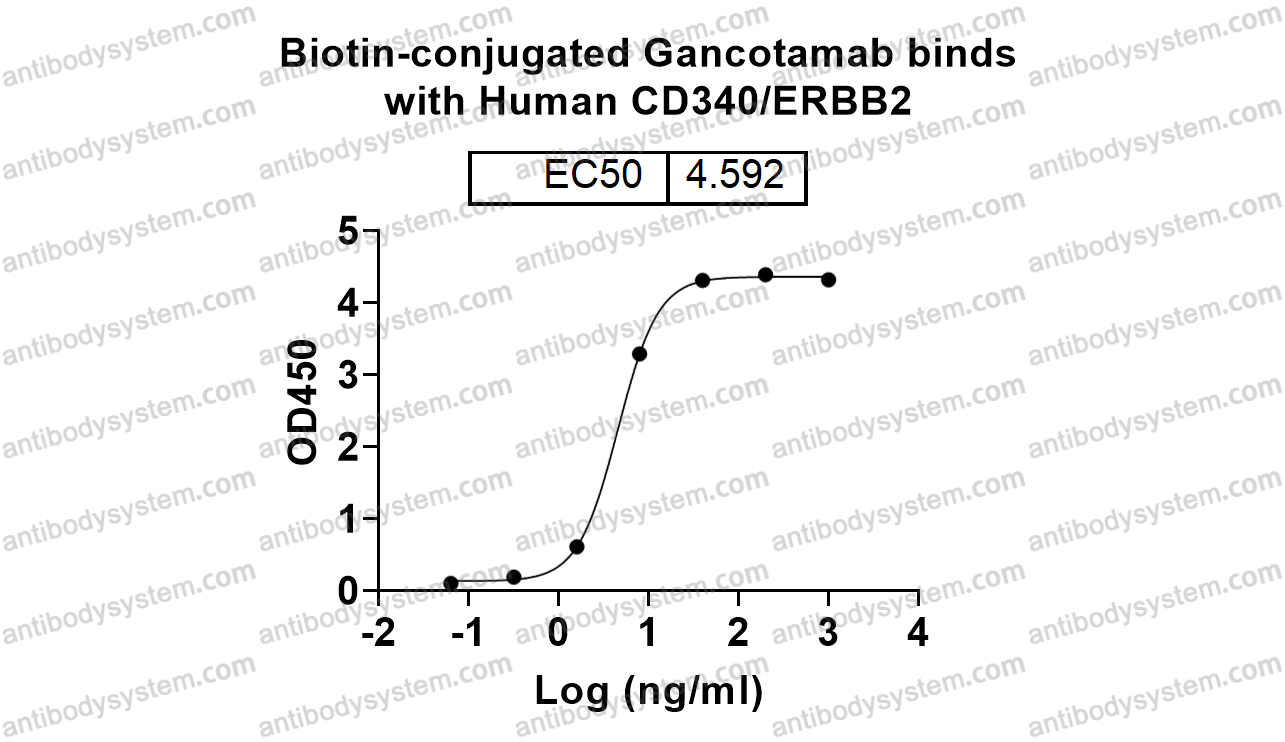 Bioactivity for Research Grade Gancotamab ?>
