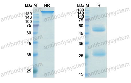 Research Grade Depemokimab