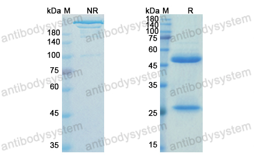 Research Grade Ziltivekimab