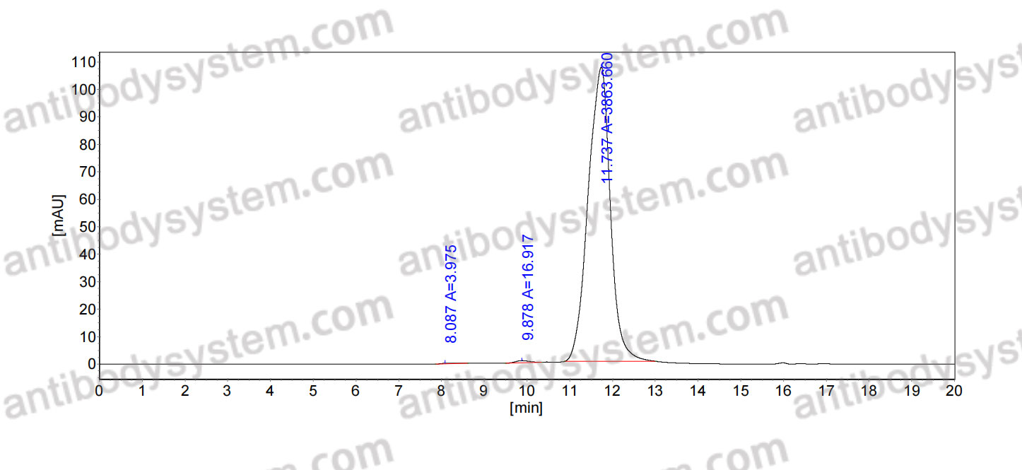 Research Grade Anti-Human CD220/INSR (IRAB-B)